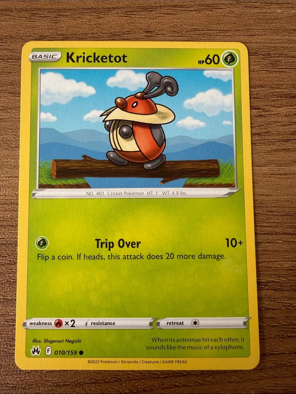 🐛 Bug Pokémon Card Lot | Yanma Ariados Scatterbug Grubbin ✨5/$25✨